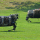 Illustration for article titled RIP BigDog, Darpas Robotic Pack Mule